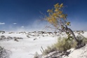 22_White Sands National Monument_02